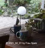 Forum Vögel Fetttassen Terrassentisch 2021_02_01 P1160436.webp Forum Vögel Fetttassen Terrassentisch 2021_02_01 P1160436.webp