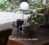 Forum Vögel Fetttassen Terrassentisch 2021_02_01 P1160441.webp Forum Vögel Fetttassen Terrassentisch 2021_02_01 P1160441.webp