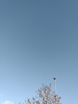 20210204_100727.jpg