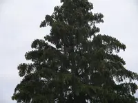 IMG_1622[1].webp