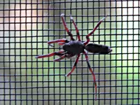IMG_9700 v (2).webp