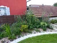 Schmetterlingspflanzenbeet 08.08.2010.webp