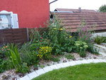 Schmetterlingspflanzenbeet 08.08.2010.jpg