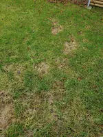 20210206_120322.webp