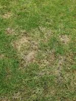 20210206_120321.webp