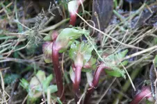 DSC09572.JPG