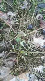 20210206_134228.jpg