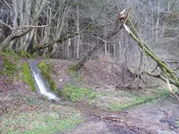 P1020505Websrstal.JPG