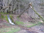 P1020505Websrstal.JPG