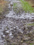 P1020509Wanderweg.JPG