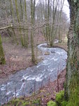 P1020515Brambecke.JPG