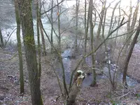 P1020527Zur Ennepesperre.JPG
