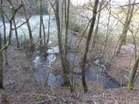 P1020543.JPG