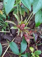 20210206_165225.webp