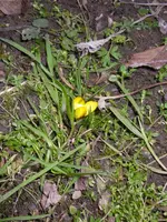 05_02_2021.webp