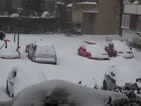 P1020607.webp P1020607.webp