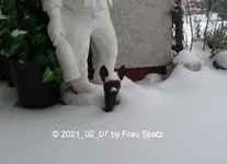 Forum Garten Schnee 2021_02_07 P1160445.webp Forum Garten Schnee 2021_02_07 P1160445.webp