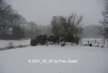 Forum Garten Schnee 2021_02_07 P1160447.webp Forum Garten Schnee 2021_02_07 P1160447.webp