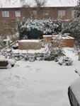 IMG_20210207_122518.jpg