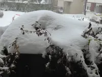 P1020626.webp