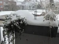 P1020627.webp