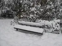 P1020620.webp