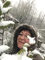 Lorbeerschnee.webp