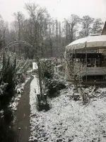Gartenschnee.webp