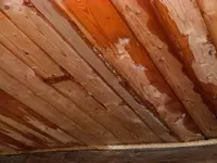 P1020222(1).webp