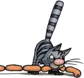 2517.webp