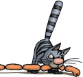 2517.png