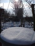 20210209_112215.jpg