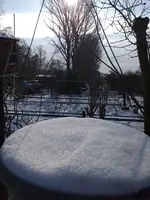 20210209_112215.webp