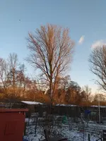 20210210_170930.webp
