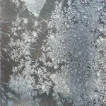 Walipinifrost2.JPG