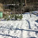 Gartenschnee.JPG