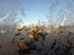 20210212_174049.jpg