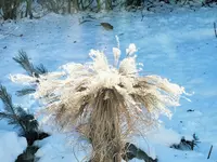DSCF4558 (2).webp