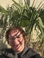 Hanfpalme1.webp