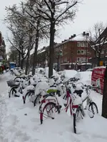 P1020630.webp