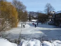 P1020640.webp