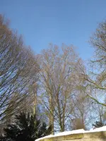 P1020644.webp