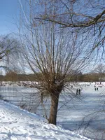 P1020656.webp