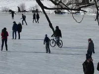 P1020662.webp