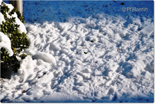 Futterplätze 2.webp