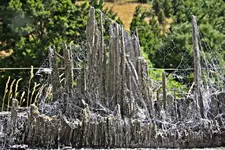 IMG_0063 v (2).webp