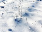 Winterbild a.jpg