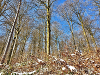Winterbild b.webp