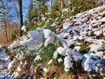 Winterbild c.jpg