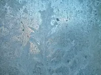 DSCF4559.webp